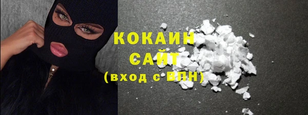 мдпв Новозыбков