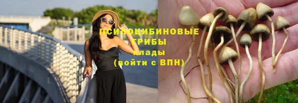 герыч Новокубанск