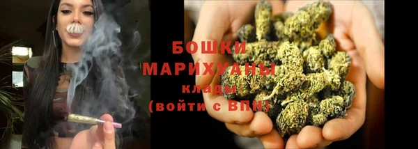 мдпв Новозыбков