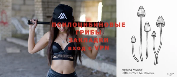 метамфетамин Гусев