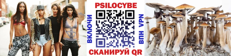 Псилоцибиновые грибы прущие грибы Печоры